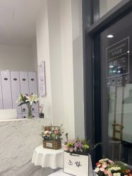 -YESIDO椰岛造型