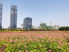 -映月湖中央公园