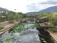 iphone_upload_pic-大理洱源西湖景区