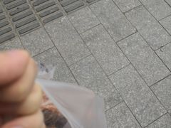-老杨家熟食店