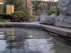 -大连金石滩绿发温泉假日酒店