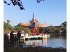 -金砂公园