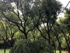 -宋庆龄陵园