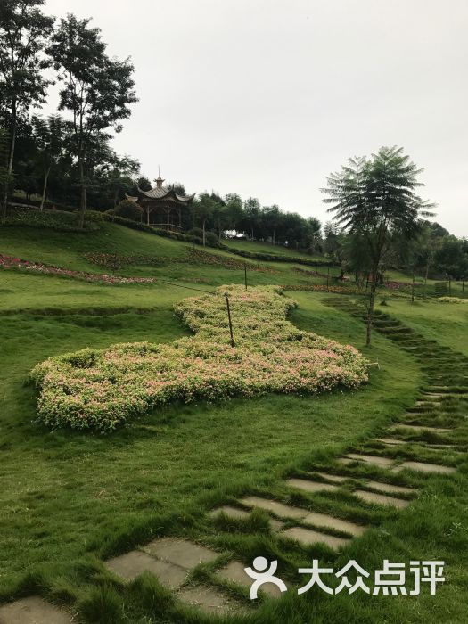 花海·桂花湖-图片-眉山周边游-大众点评网