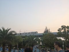 -宝安西湾红树林湿地公园