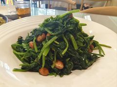 -听涛雅苑百味饺子老家菜馆