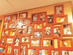-猫十亿·布偶金渐层·曼基康矮脚猫舍(青年路店)