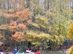 -上海海湾国家森林公园