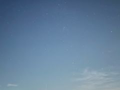 -东平国家森林公园