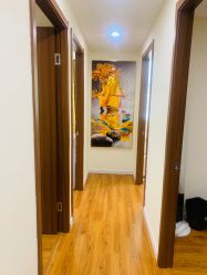 -莲姿娜·半永久纹绣纹眉