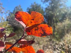 -北京西山国家森林公园