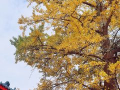-金堂县云顶石城风景区