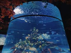 -北海海底世界