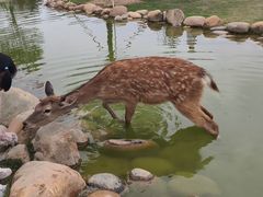 -盈香心动乐园