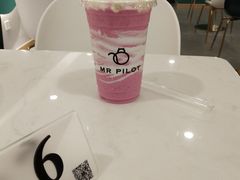 -飞行喵MR PILOT|猫舍·猫咖(静安大融城店)