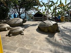 -海南分界洲岛旅游区