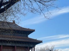 -故宫博物院(故宫)
