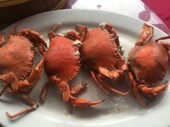 -喜相逢海鲜美食城(五邑平价农副产品批发市场店)