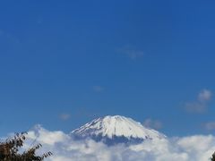 -富士山吉田線五合目