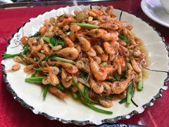 葱爆遇龙河小河虾-生态苑农庄(十里画廊遇龙河店)
