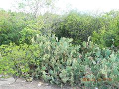 DSCN2899-三亚亚龙湾金棕榈度假酒店