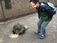 -费瑟代尔野生动物园