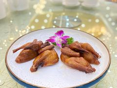 石岐乳鸽-轩记海鲜餐厅·四十五年老字号·经典粤菜(西区彩虹店)