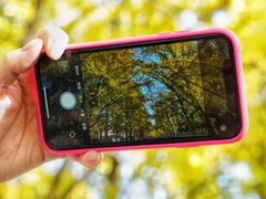 -三里屯东五街银杏大道