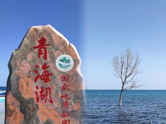-青海湖国家重点风景名胜区