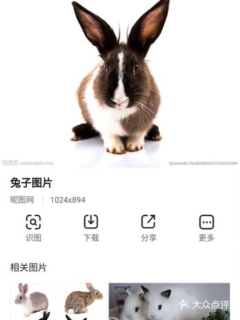 我站在兔窝旁仔细观察兔子，发现兔子的眼睛是红色的