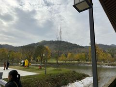 -千年银杏谷文化旅游区