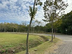 -上海海湾国家森林公园