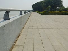 -大湾区中央湿地公园