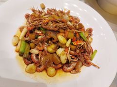 -印象天台·非遗文化美食