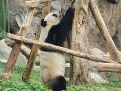 -香港海洋公园