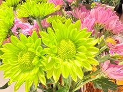 -半秋山西餐厅(巴南万达广场店)