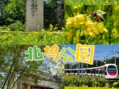 -北坞公园