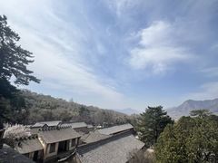 -天天向上素食餐厅(五台山店)