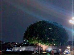-石炮台公园