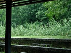 -盘龙城遗址博物院