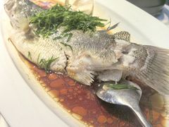 -院里寻菜·精致庭院菜(观沙岭店)