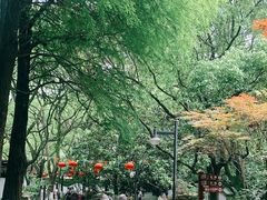 -瀛洲公园