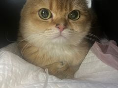 -北京赛佳动物医院