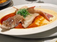 东星斑清蒸东星斑-维园悦谱·海派家常菜(乌鲁木齐南路店)