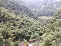 -宁波五龙潭景区