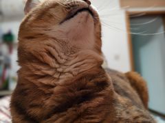 -良伴无忧宠物医院(泰欣嘉园店)