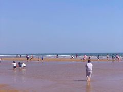 -前王院•巧克力海鲜市集餐厅(万平口店)