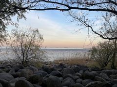 -上海吴淞炮台湾国家湿地公园