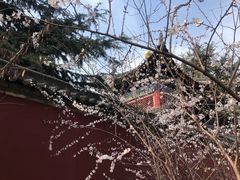 -西安市广仁寺