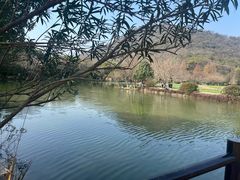 -八卦田遗址公园